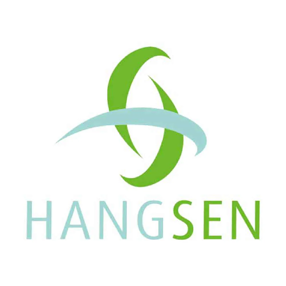 Hangsen E-Liquid [TPD] 10x10ml Bottles In All Flavours - £1.39 - Image 3